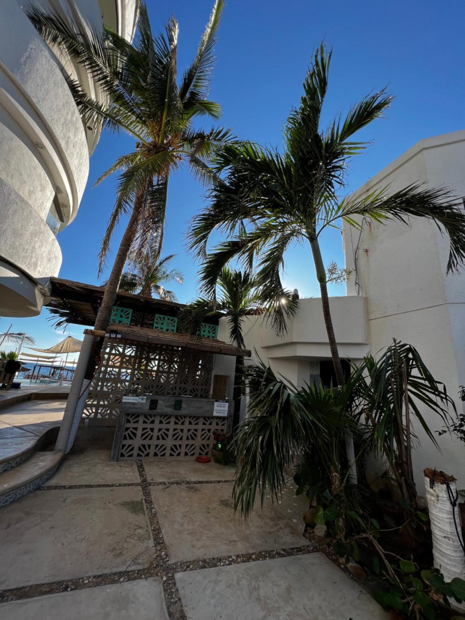 Condominio Agave Del Mar Coyuca de Benitez Exterior foto